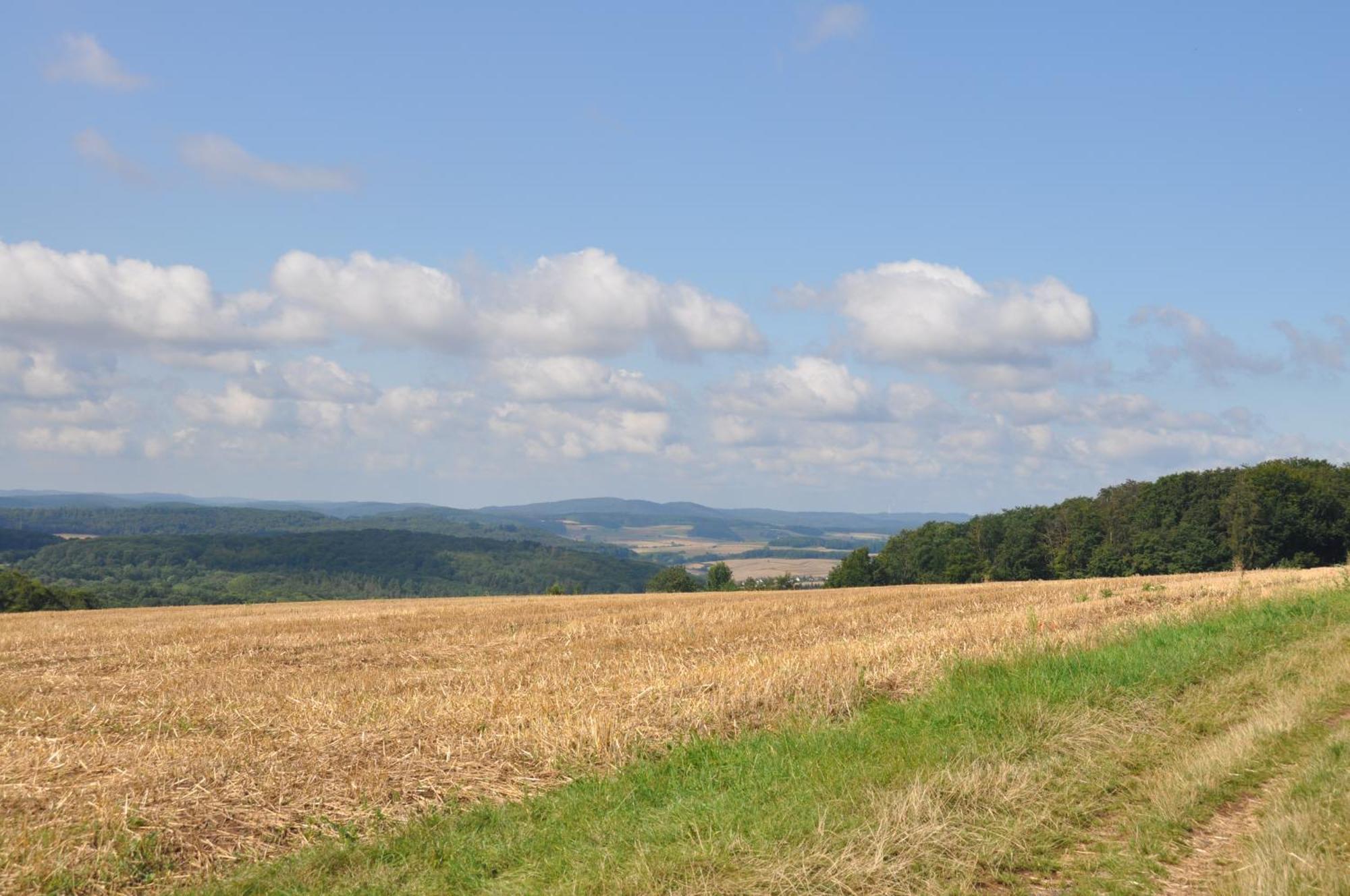 2-Zimmer Wohnung Mit Terrasse, Fernblick, Natur, Ruhig - Marburg Exteriör bild